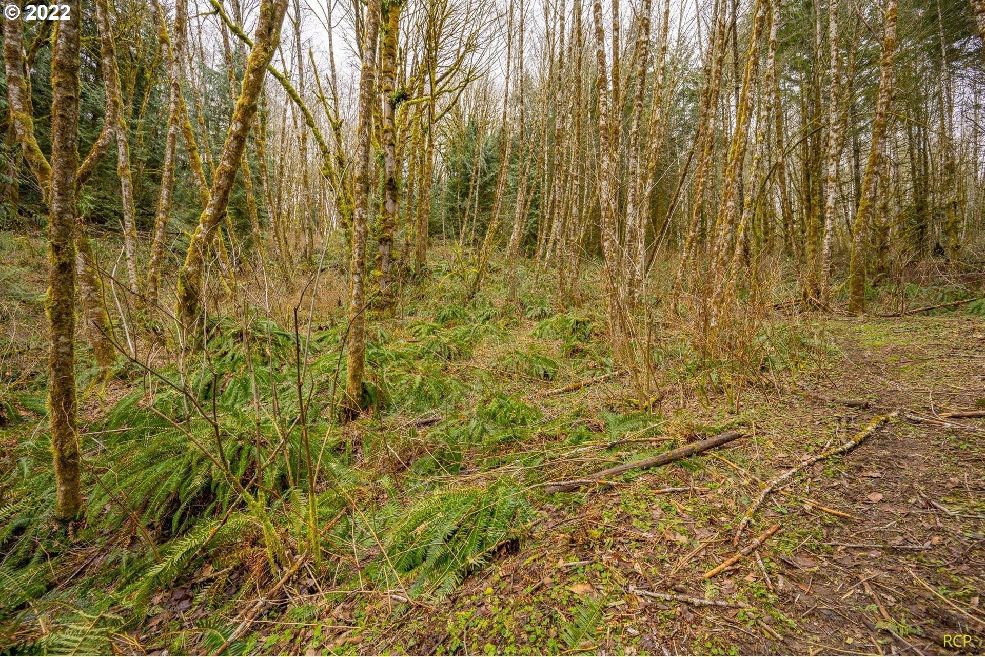 Clatskanie, Columbia County, OR Undeveloped Land for sale Property ID 412914378 LandWatch