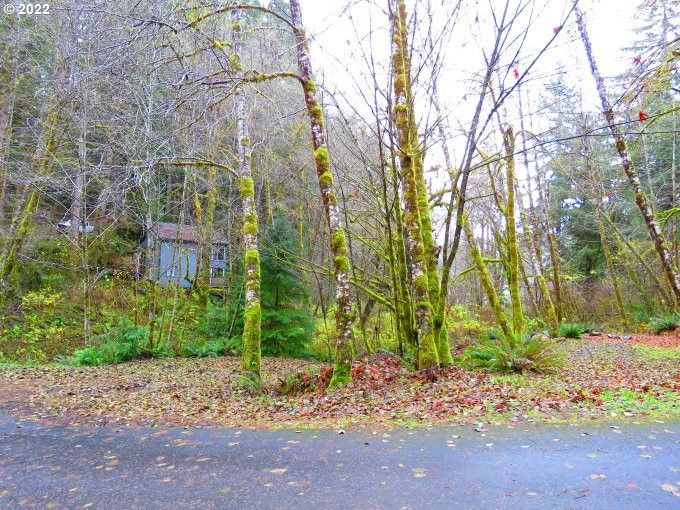 Birkenfeld, Clatsop County, OR Undeveloped Land, Lakefront Property