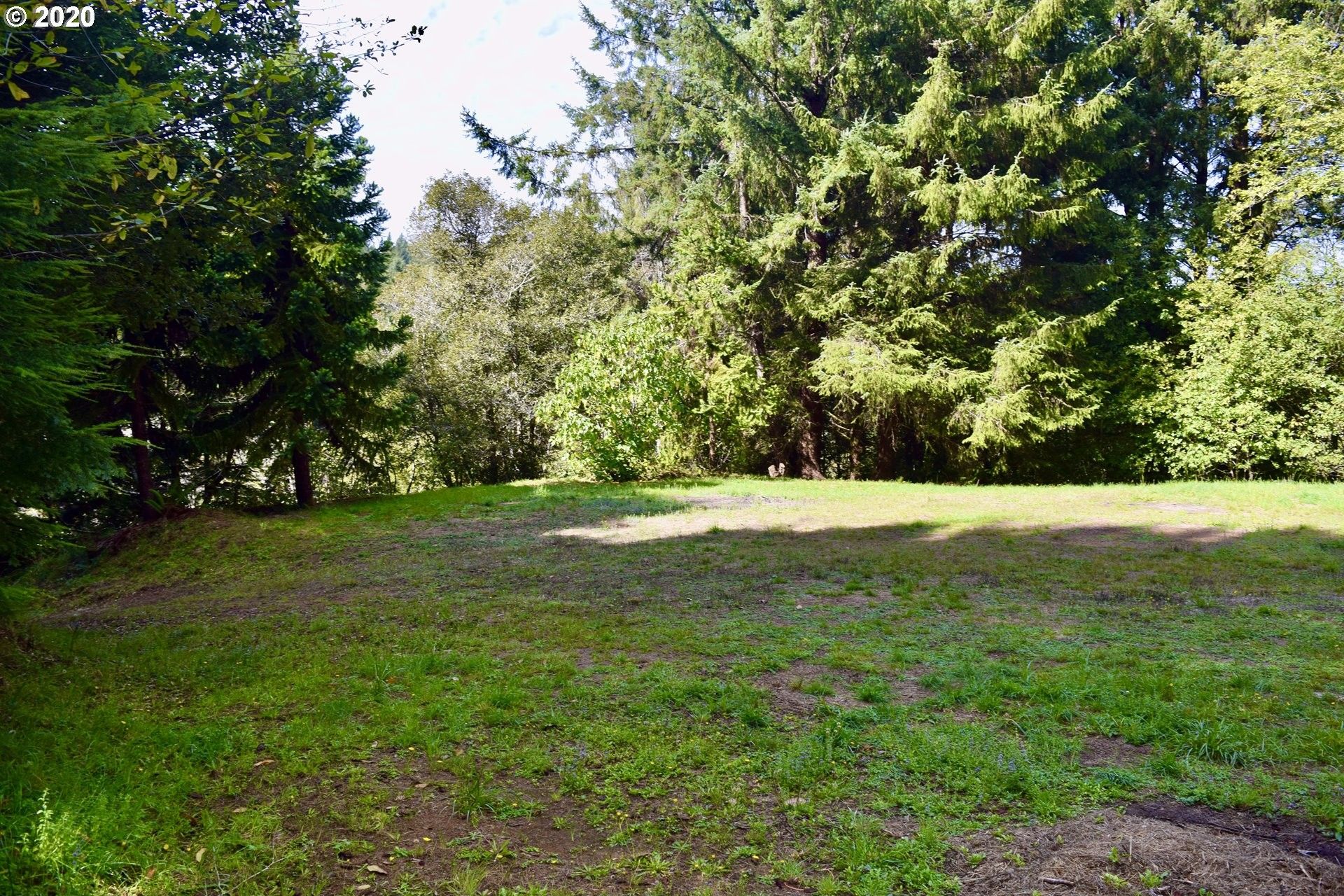 Ophir, Curry County, OR Undeveloped Land for sale Property ID