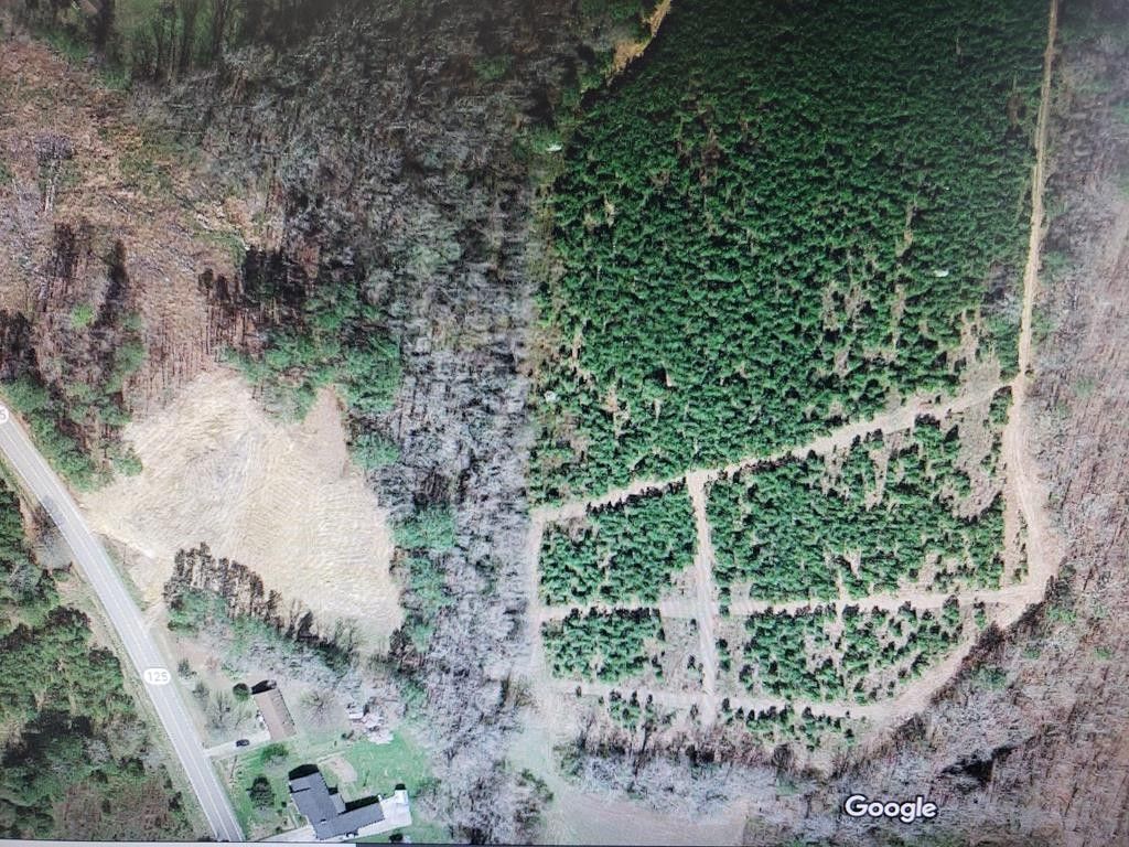 0 HIGHWAY 125, Roanoke Rapids, NC 27870 MLS 122510 LandWatch