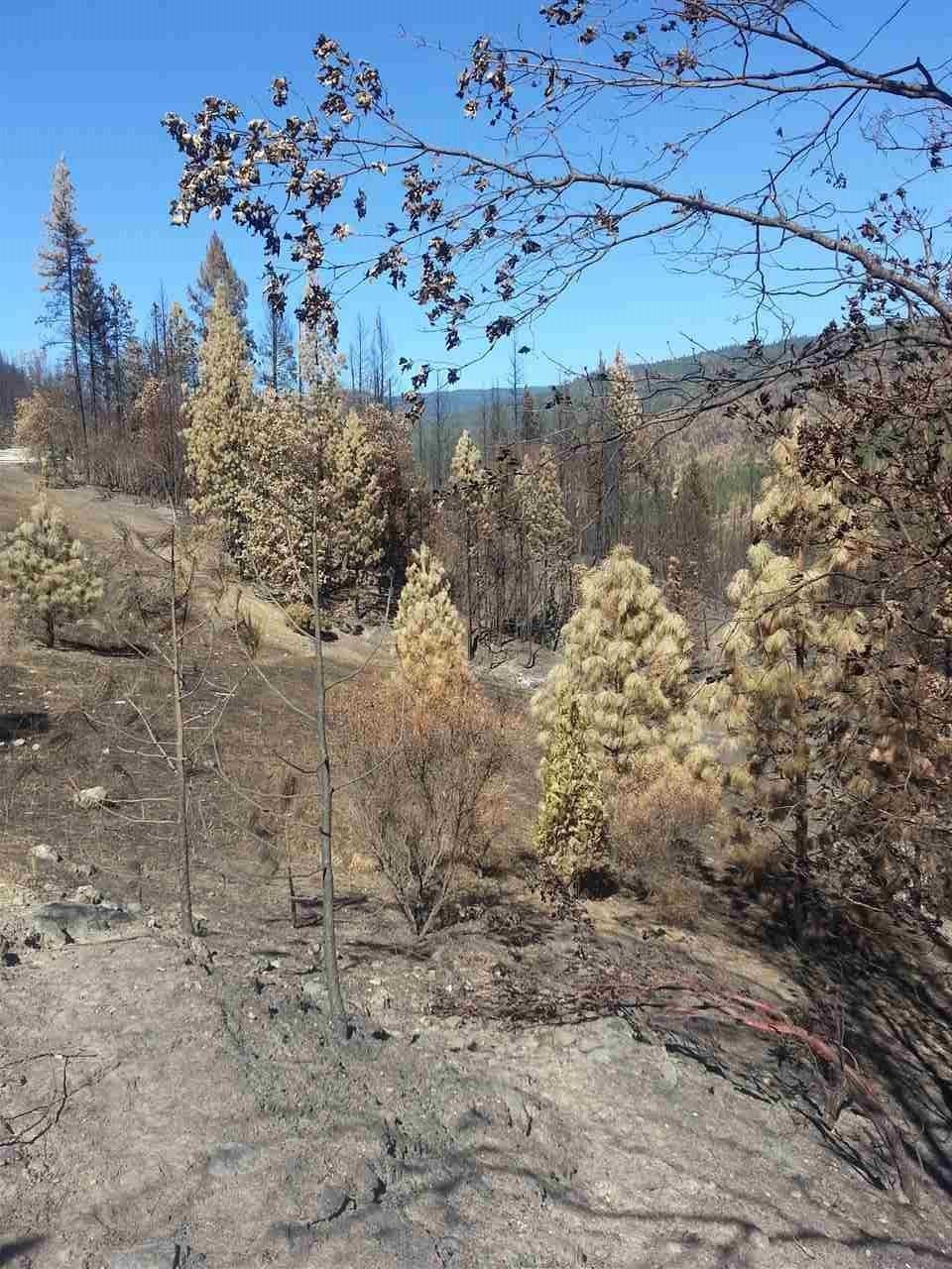 Klamath River, Siskiyou County, CA Farms and Ranches for sale Property