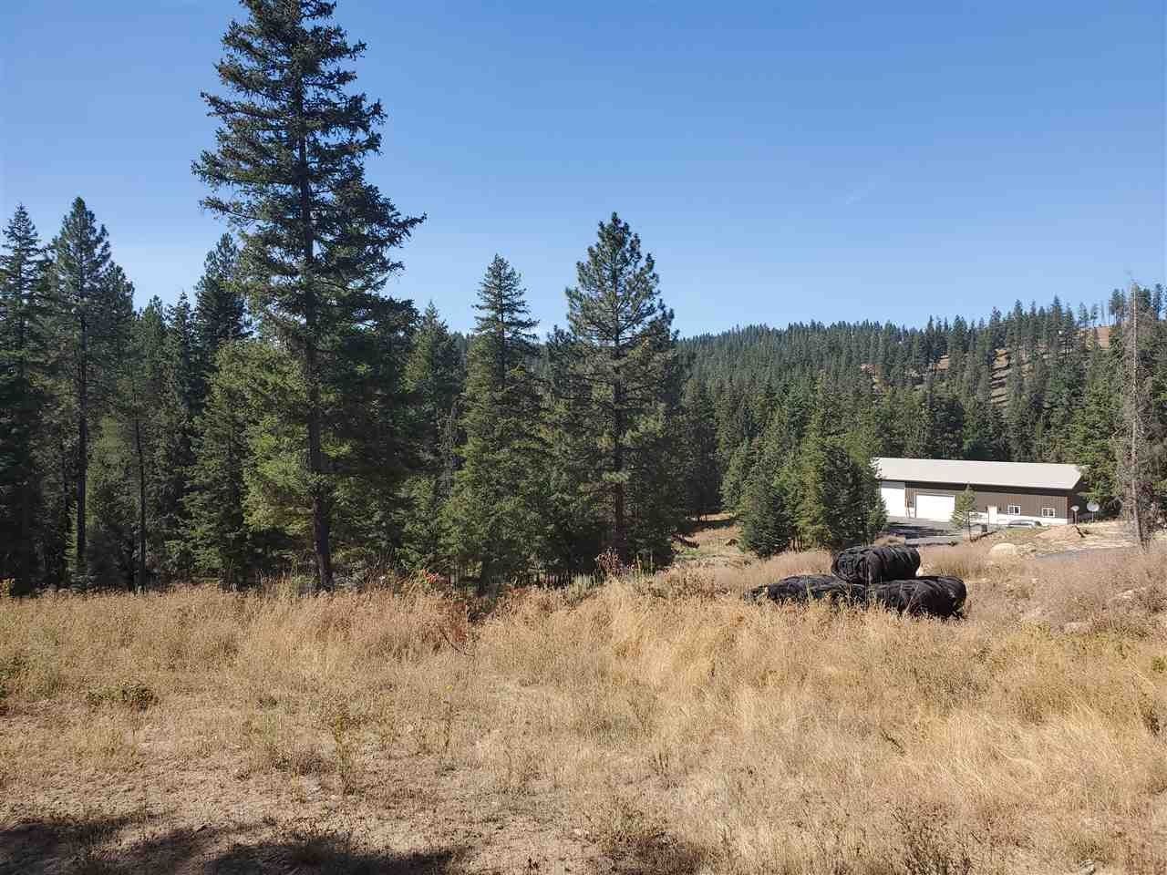 Mead, Spokane County, WA Undeveloped Land, Homesites for sale Property ID 339070250 LandWatch