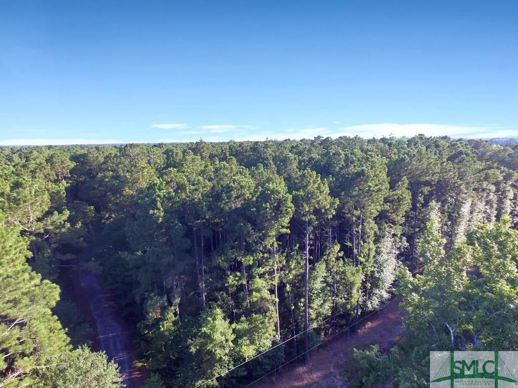 Statesboro, Bulloch County, GA Undeveloped Land for sale Property ID