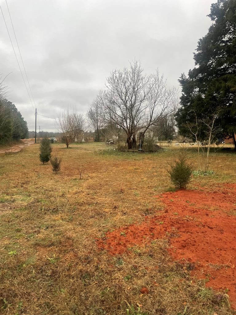 Wedgefield, Sumter County, SC Undeveloped Land, Homesites for sale