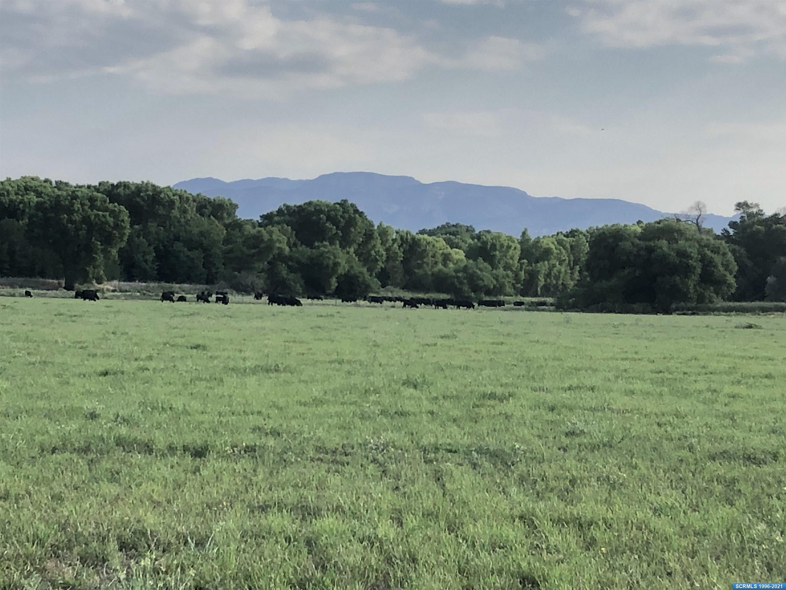 Gila, Grant County, NM Farms and Ranches for sale Property ID