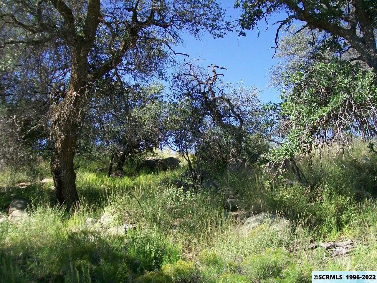 Silver City, Grant County, NM Undeveloped Land for sale Property ID