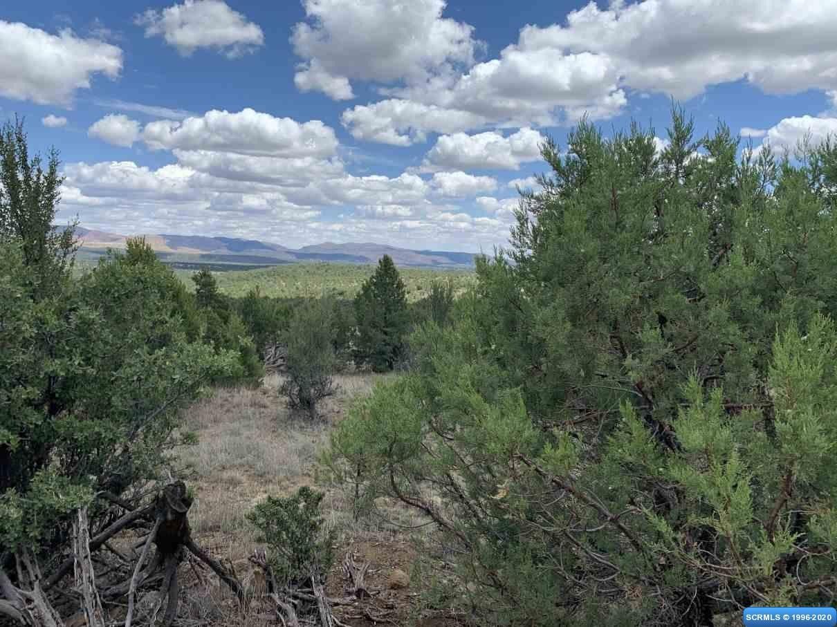 Silver City, Grant County, NM Undeveloped Land for sale Property ID