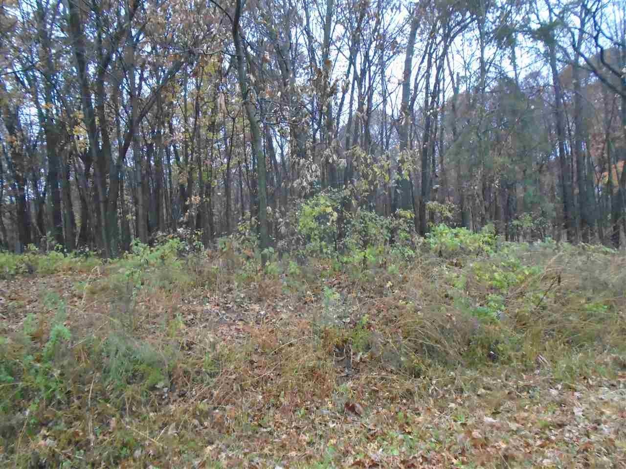 Mauston, Juneau County, WI Undeveloped Land, Homesites for sale