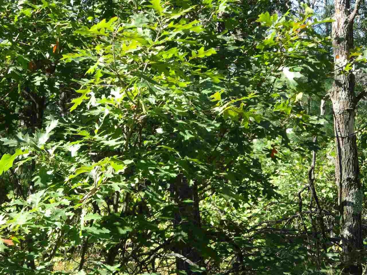 New Lisbon, Juneau County, WI Undeveloped Land, Lakefront Property