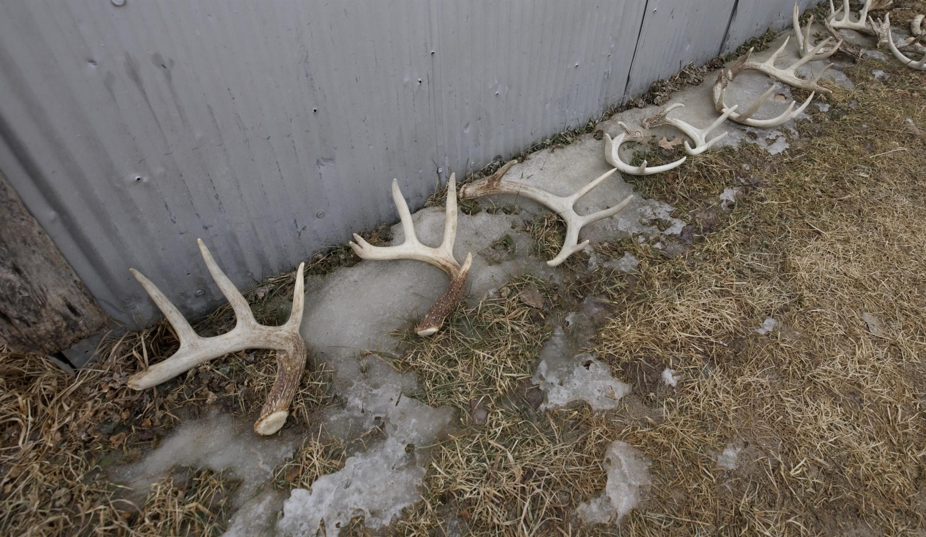 Blue River, Crawford County, WI Undeveloped Land for sale Property ID