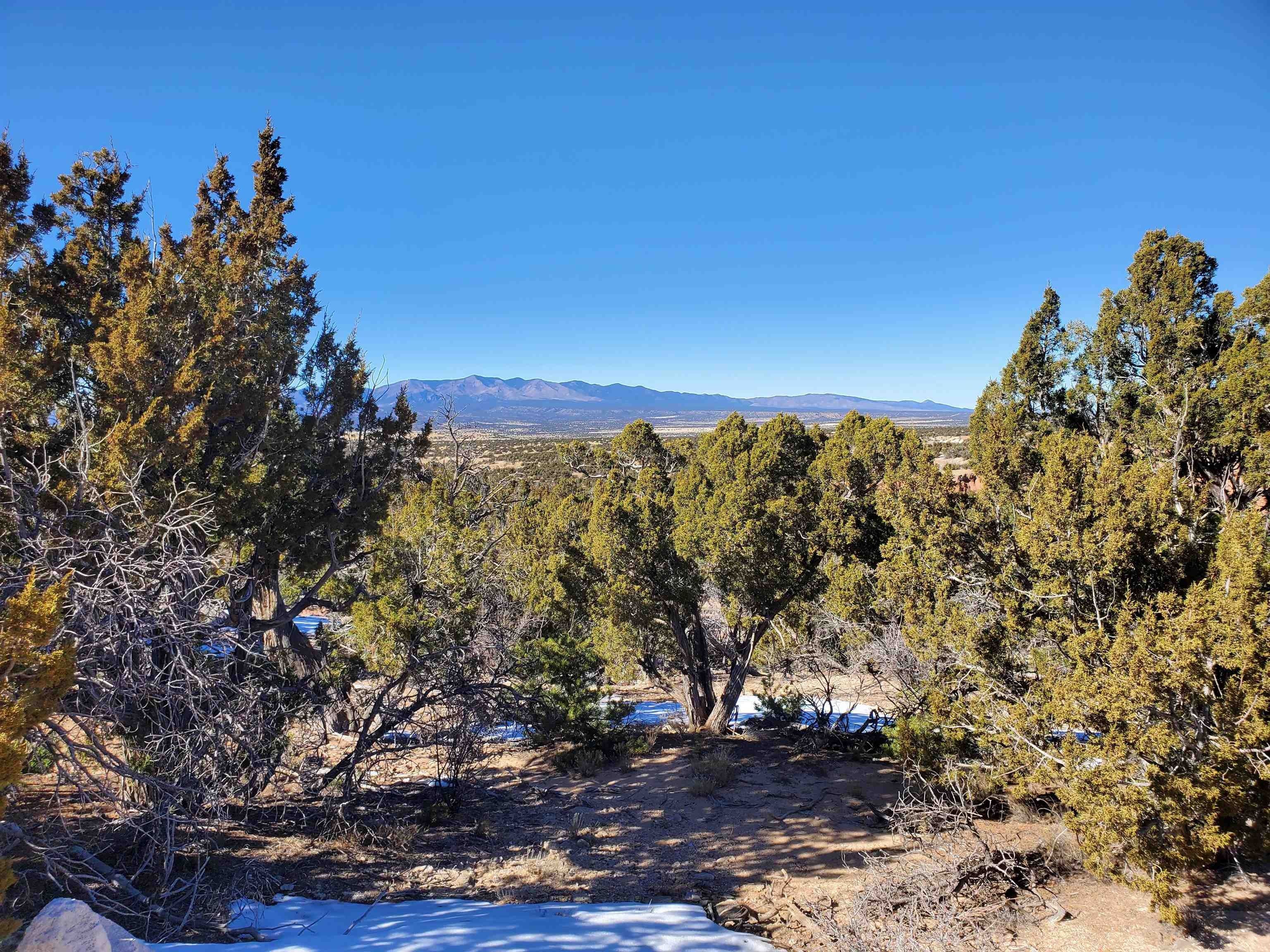 Mountainair, Torrance County, NM Undeveloped Land for sale Property ID