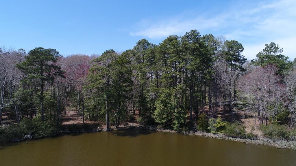 Belle Haven, County, VA Undeveloped Land, Homesites for sale