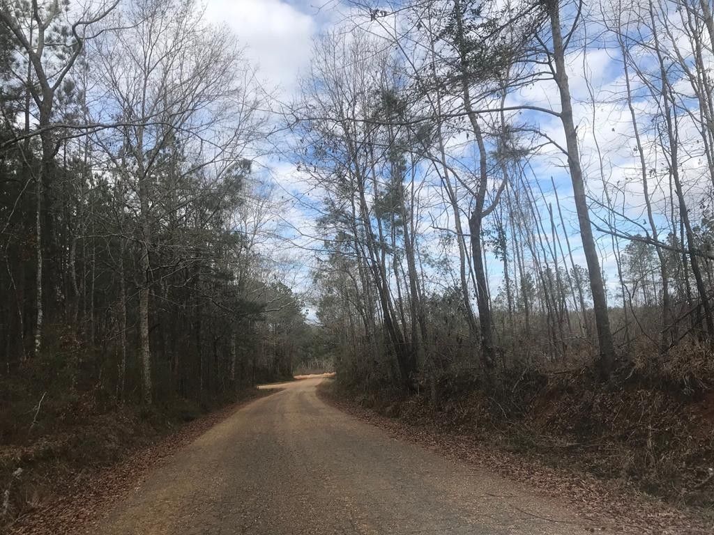 Bogue Chitto, Lincoln County, MS Undeveloped Land for sale Property ID