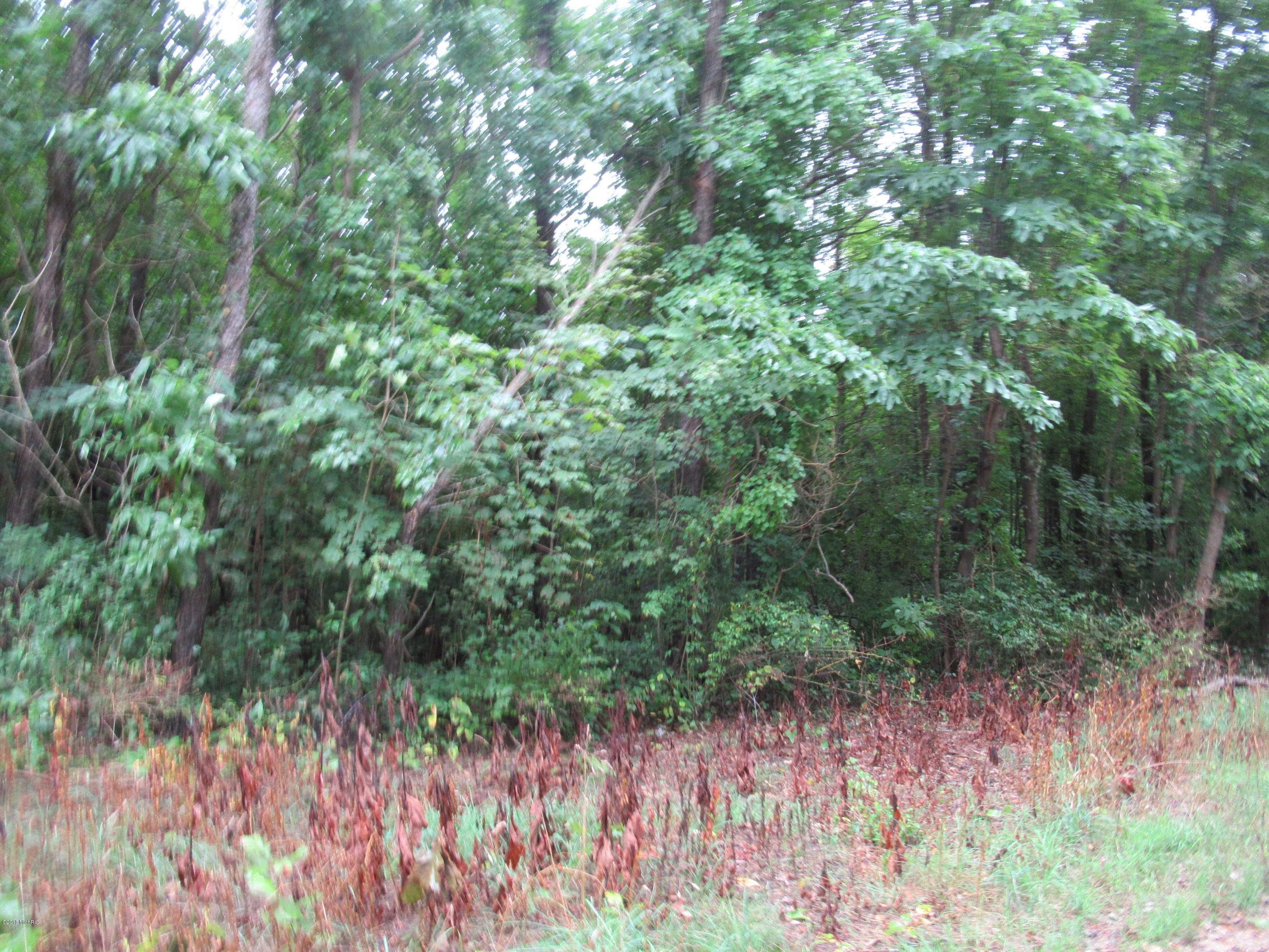 Dowagiac, Cass County, MI Undeveloped Land for sale Property ID