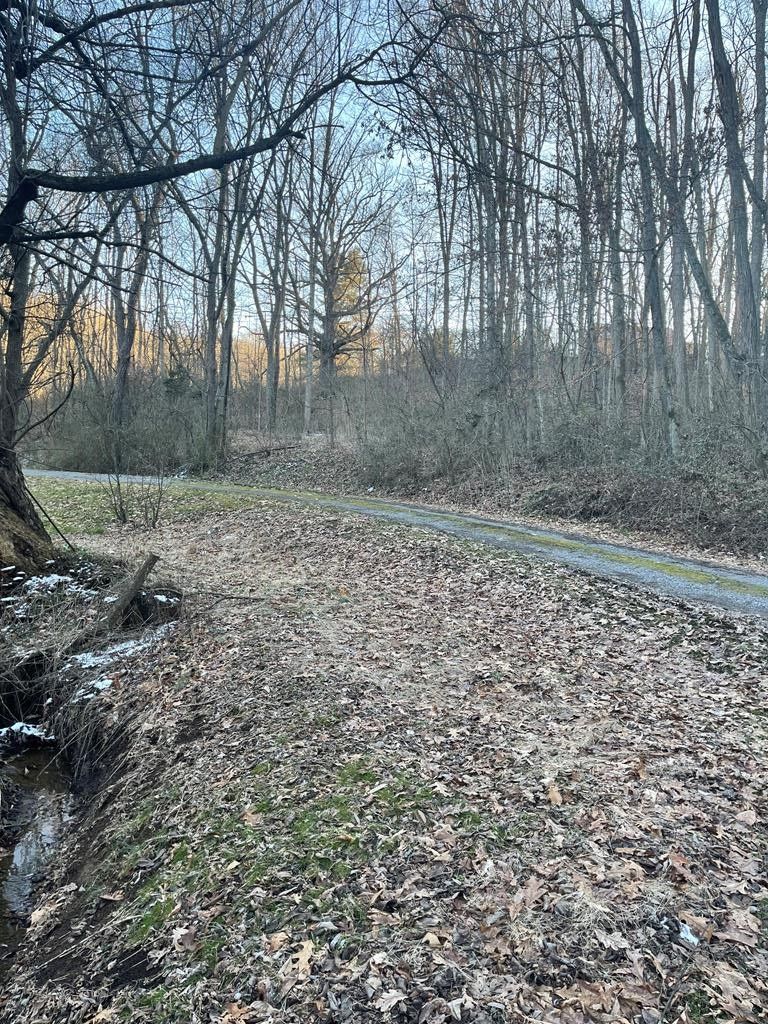 Marion, Smyth County, VA Homesites for sale Property ID 412732110