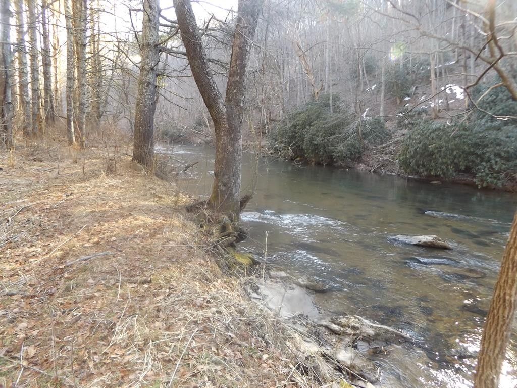 Laurel Fork, Carroll County, VA Farms and Ranches for sale Property ID