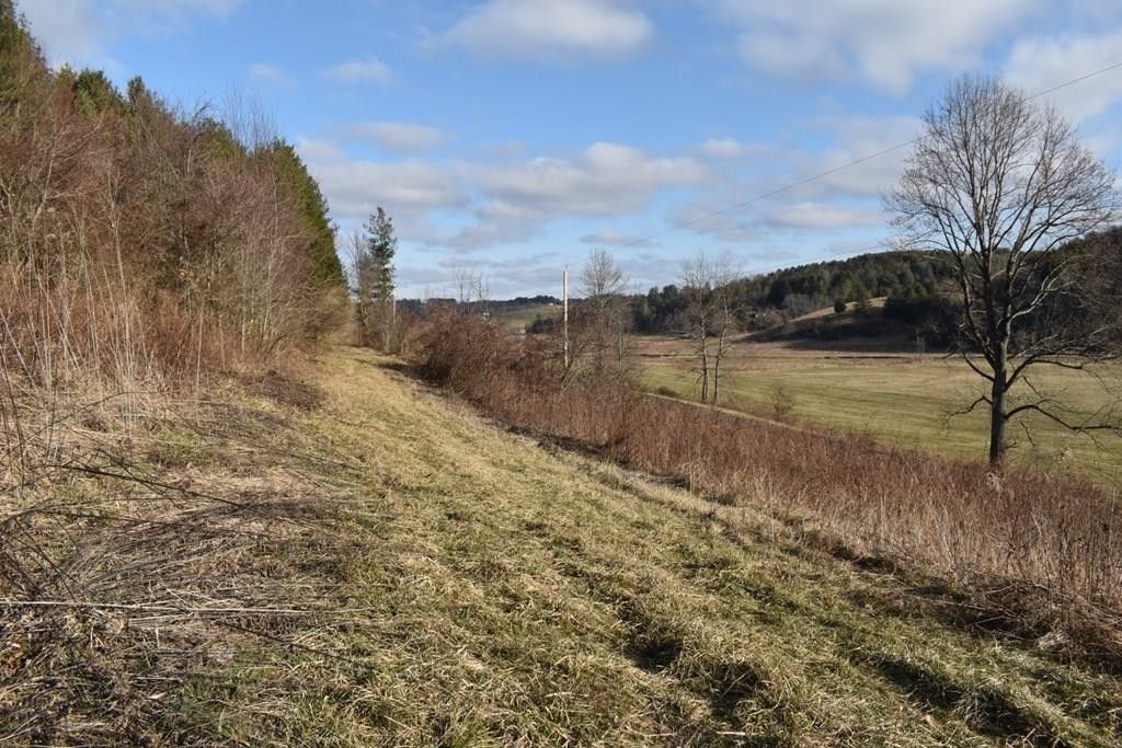 Galax, Carroll County, VA Farms and Ranches for sale Property ID