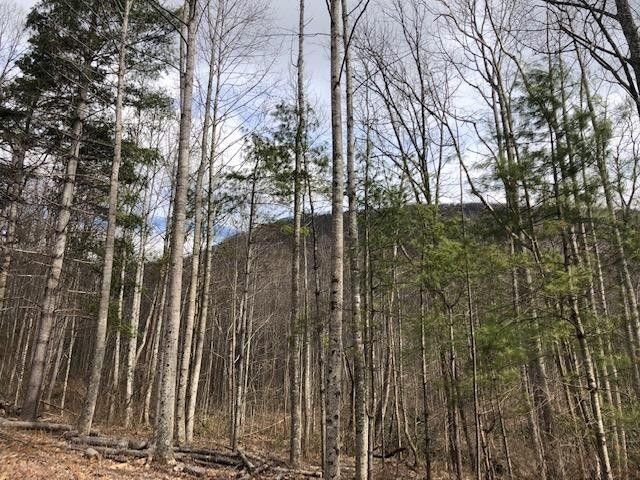 Cana Carroll County VA Farms And Ranches Lakefront Property