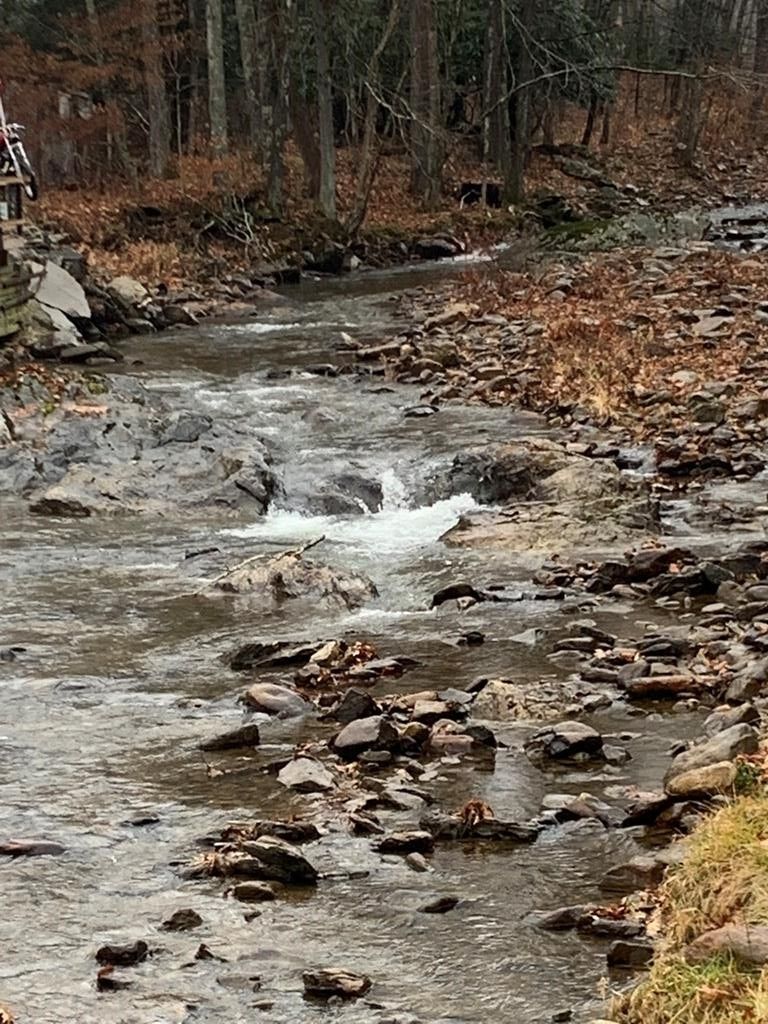 Mouth Of Wilson, Grayson County, VA Undeveloped Land, Lakefront