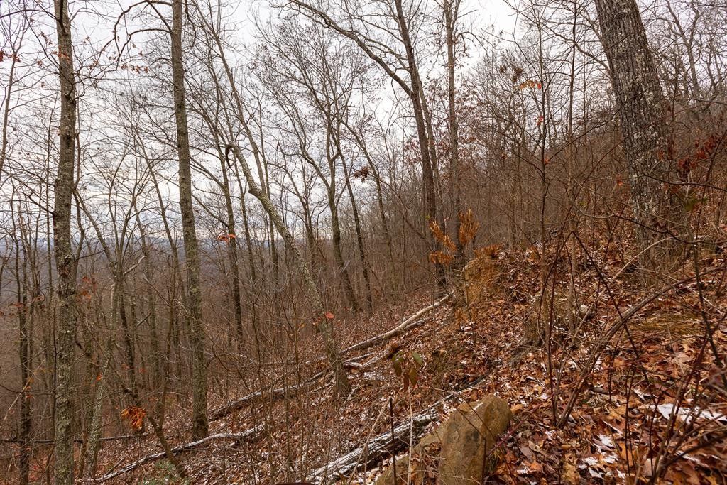 Abingdon, Washington County, VA Farms and Ranches for sale Property ID