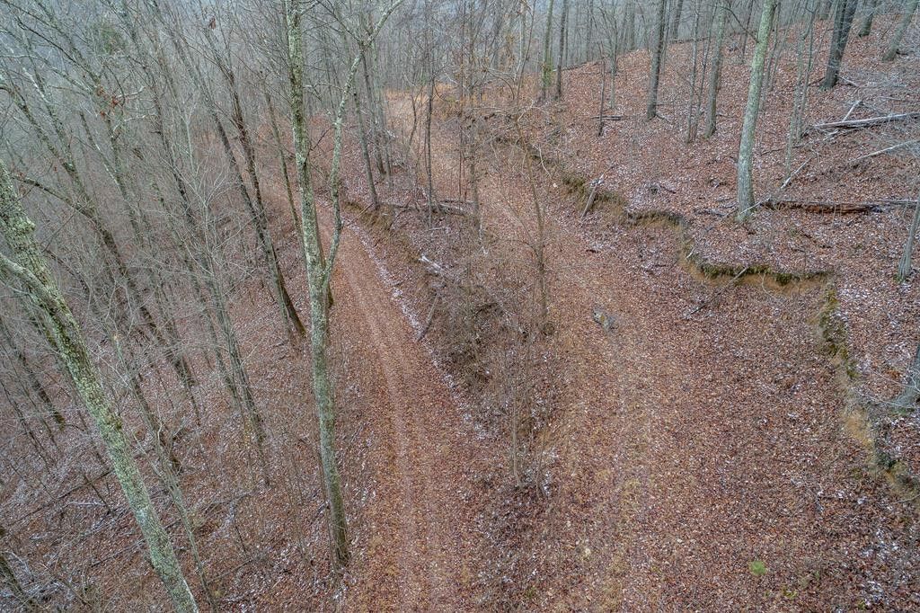 Abingdon, Washington County, VA Farms and Ranches for sale Property ID