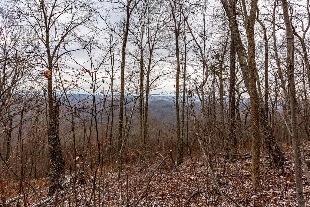 Abingdon, Washington County, VA Farms and Ranches, Homesites for sale