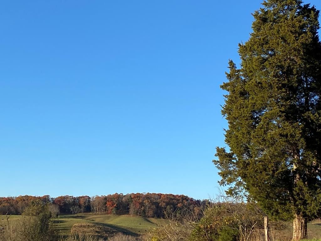 Barren Springs, Wythe County, VA Undeveloped Land, Lakefront Property