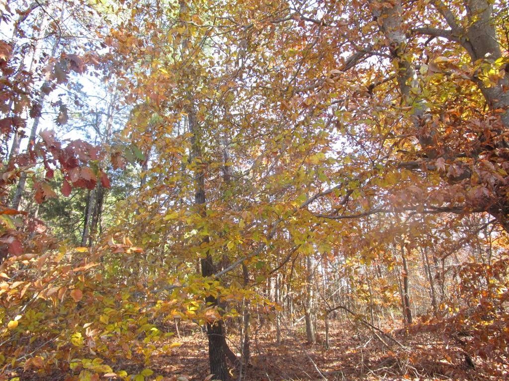 Victoria, Lunenburg County, VA Undeveloped Land for sale Property ID