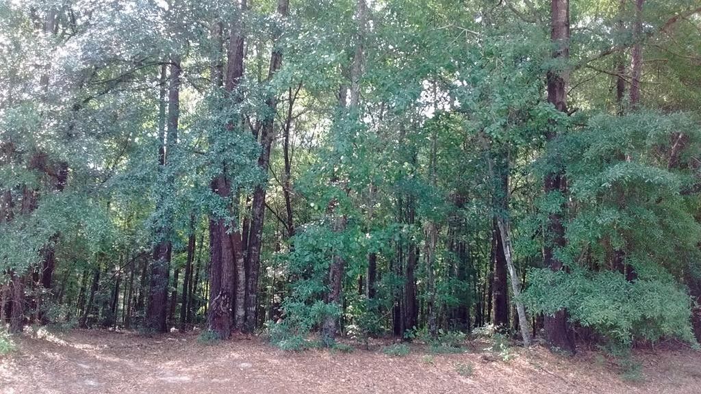 Bamberg, Bamberg County, SC Undeveloped Land, Homesites for sale