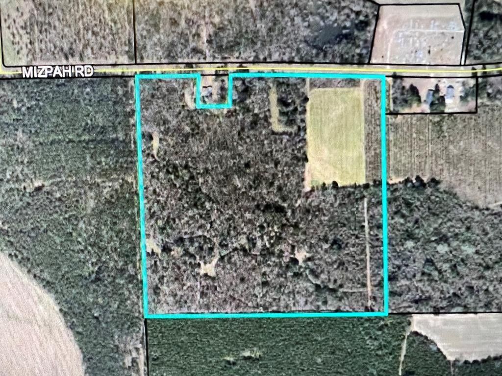 Cairo, Grady County, GA Undeveloped Land for sale Property ID