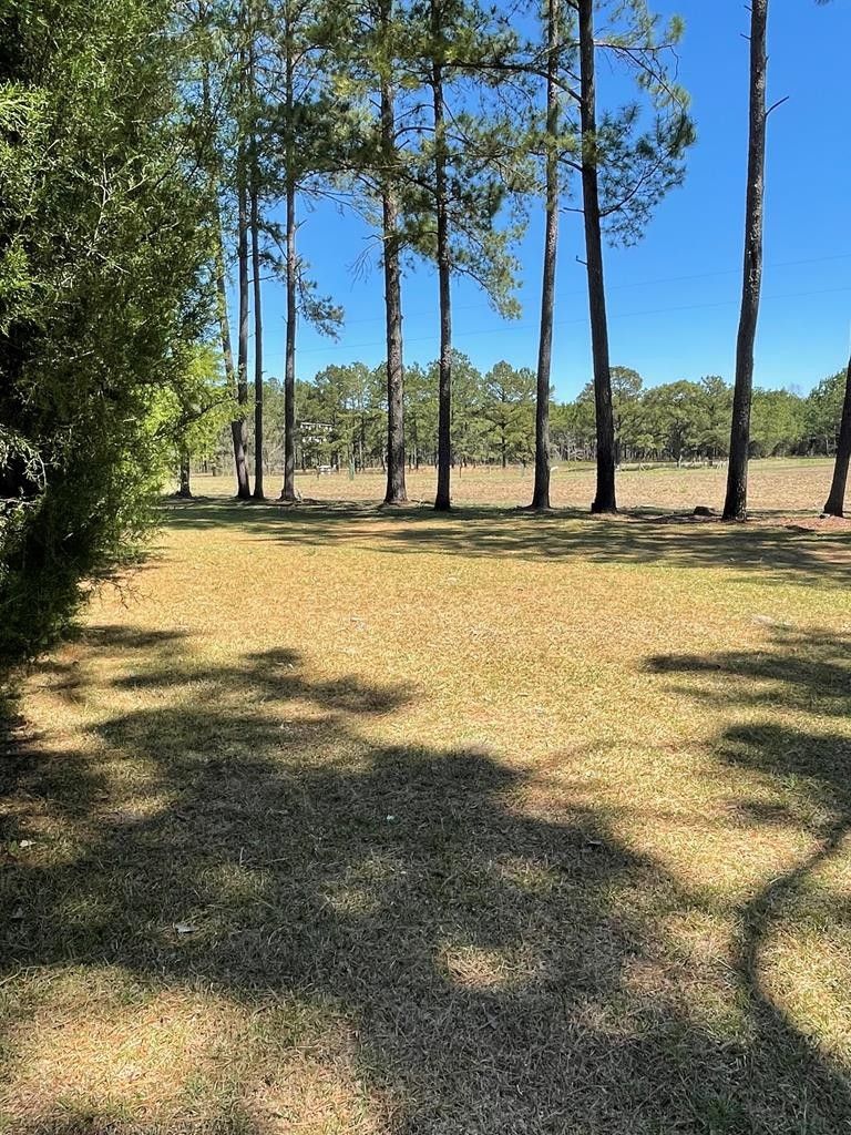 Ochlocknee, Grady County, GA Farms and Ranches for sale Property ID