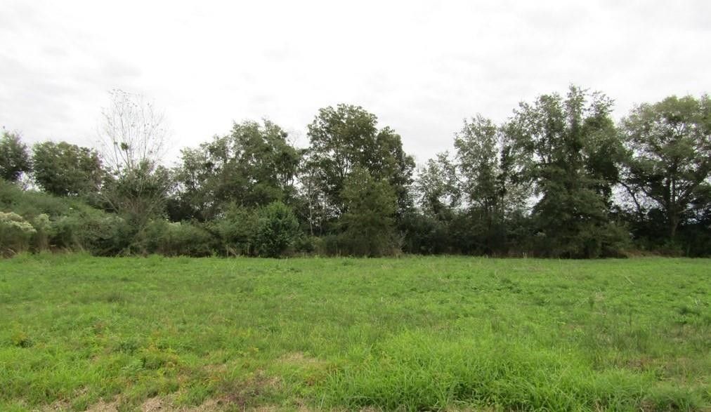 Pelham, Mitchell County, GA Undeveloped Land, Lakefront Property