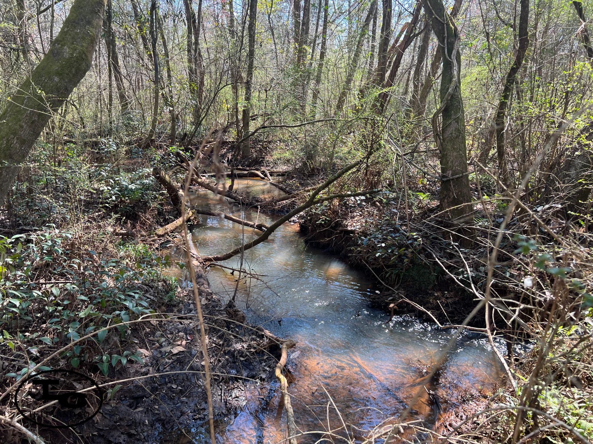 New Brockton, Coffee County, AL Recreational Property, Timberland