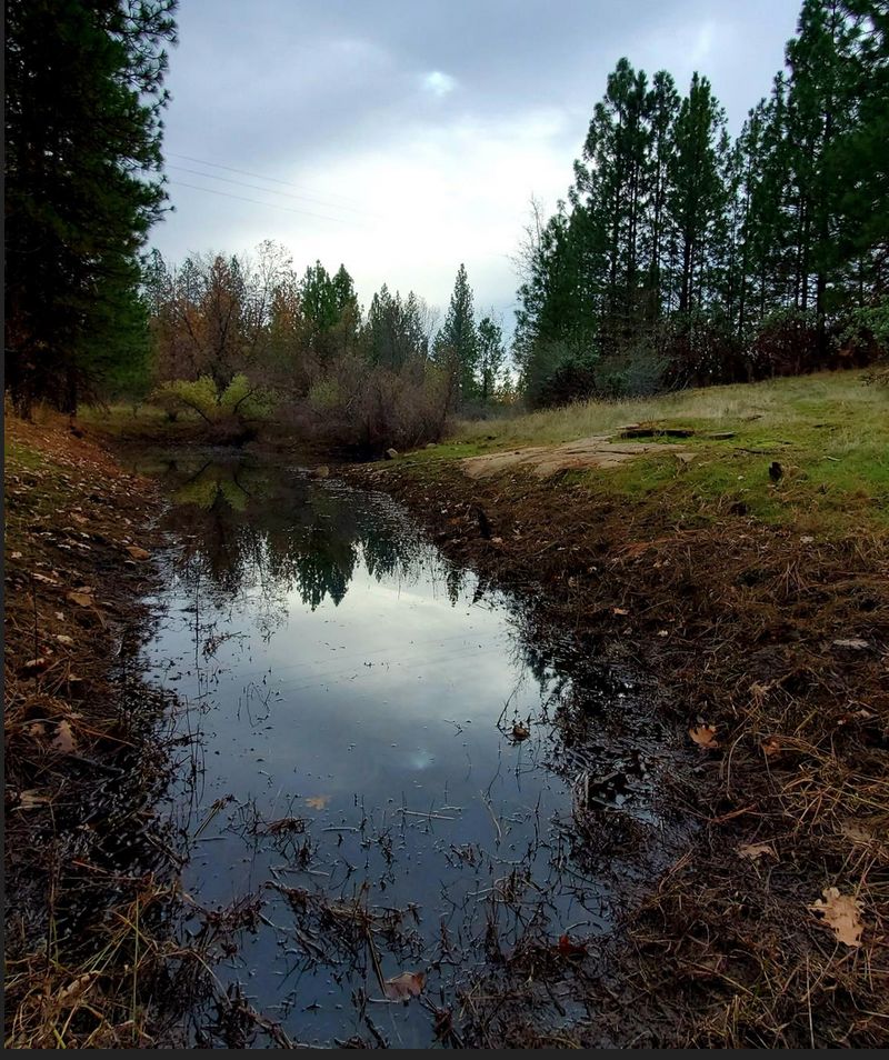 West Point, Calaveras County, CA Recreational Property, Undeveloped