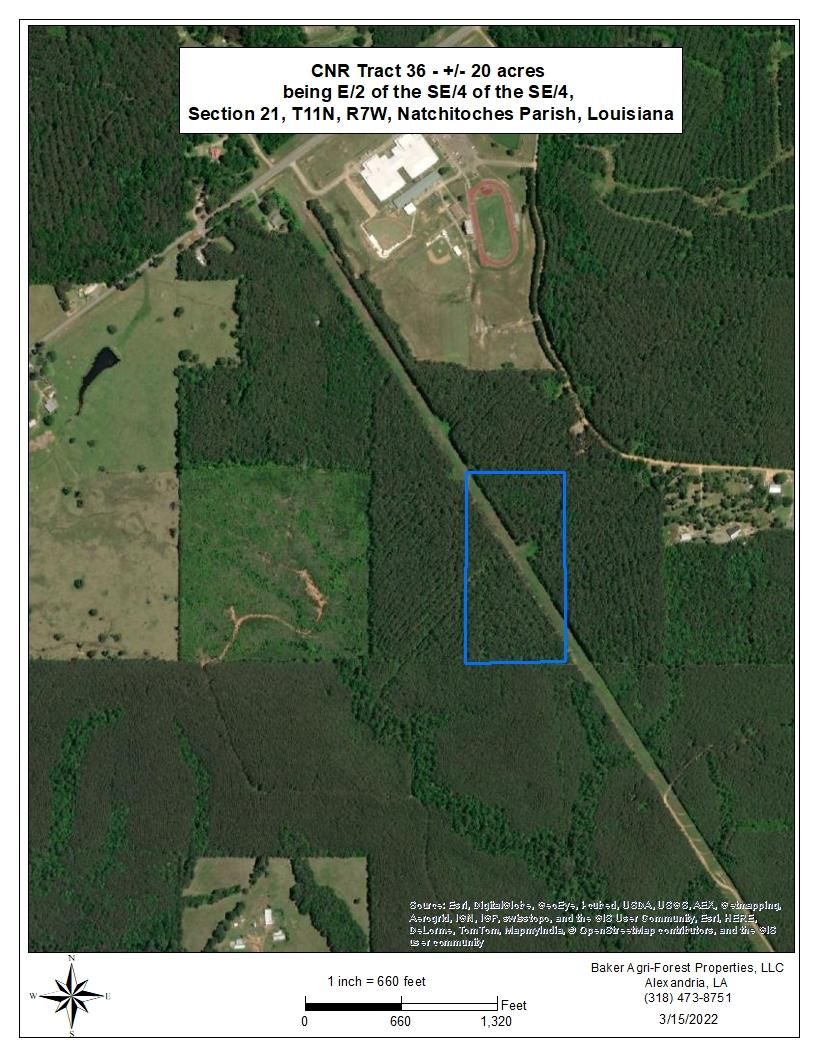 Campti, Natchitoches Parish, LA Recreational Property, Timberland