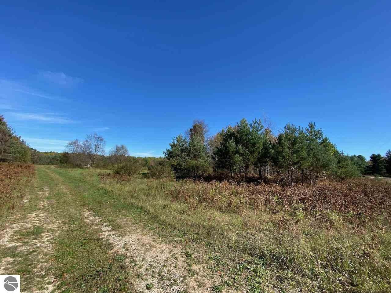 Bellaire, Antrim County, MI Undeveloped Land for sale Property ID