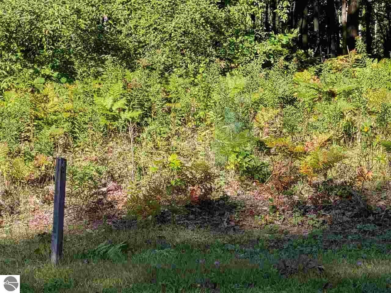 Tawas City, Arenac County, MI Farms and Ranches, Lakefront Property