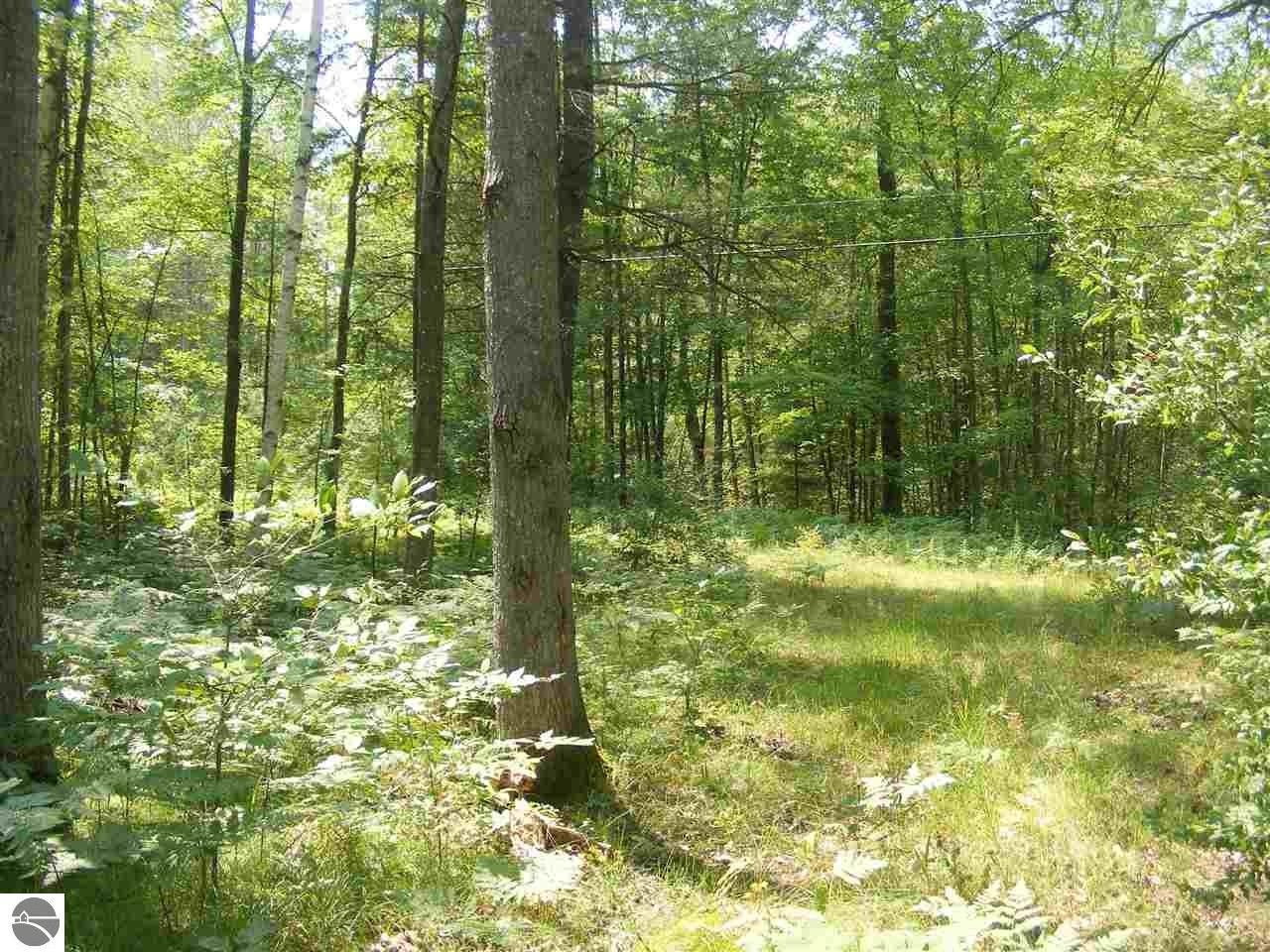 Cadillac, Wexford County, MI Undeveloped Land, Lakefront Property