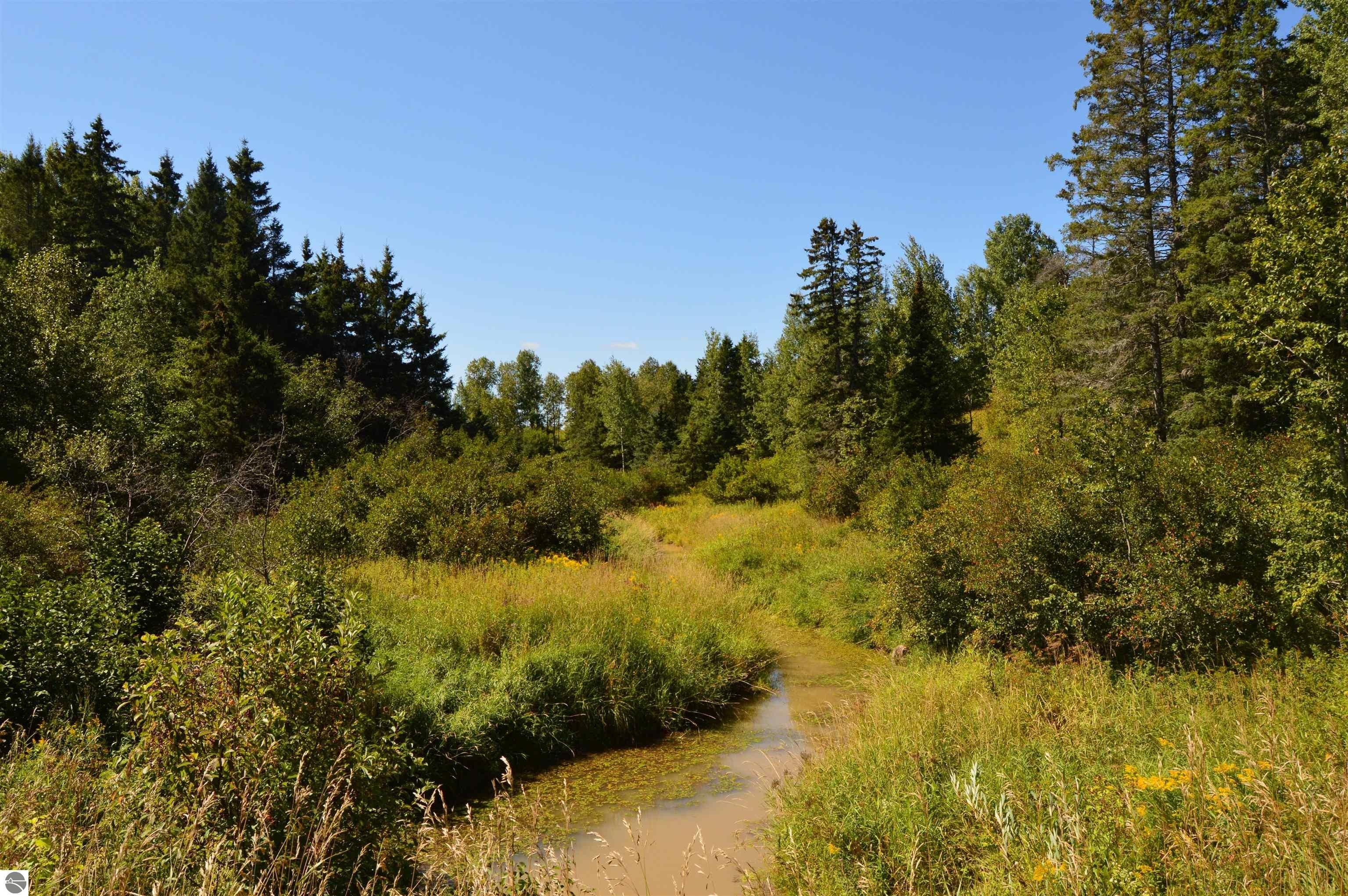 Rudyard, Chippewa County, MI Undeveloped Land, Lakefront Property