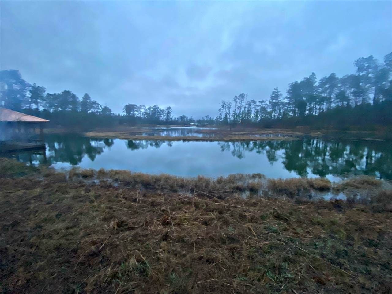 Donalsonville, Seminole County, GA Undeveloped Land, Lakefront Property