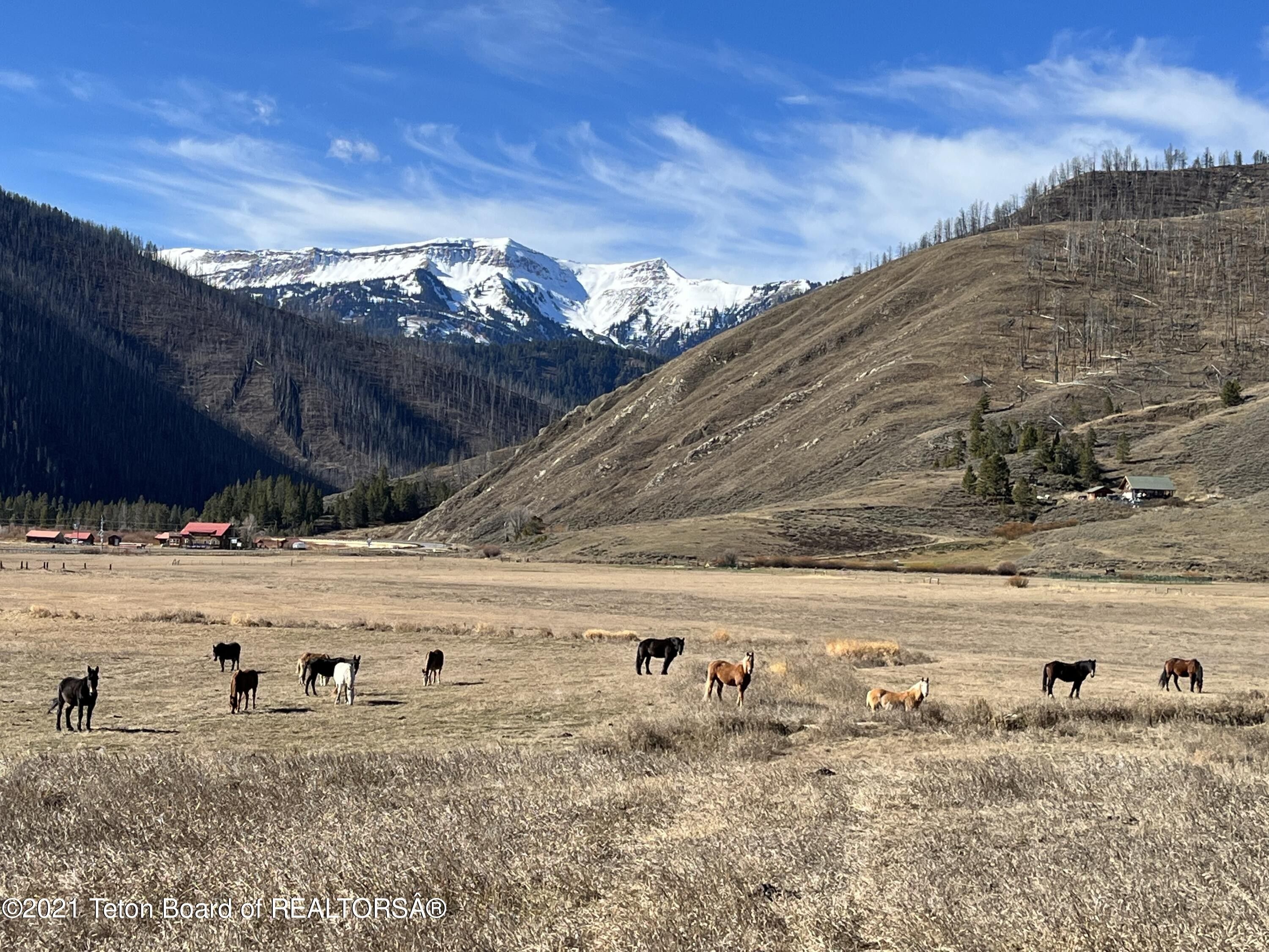 Bondurant, Sublette County, WY Undeveloped Land for sale Property ID