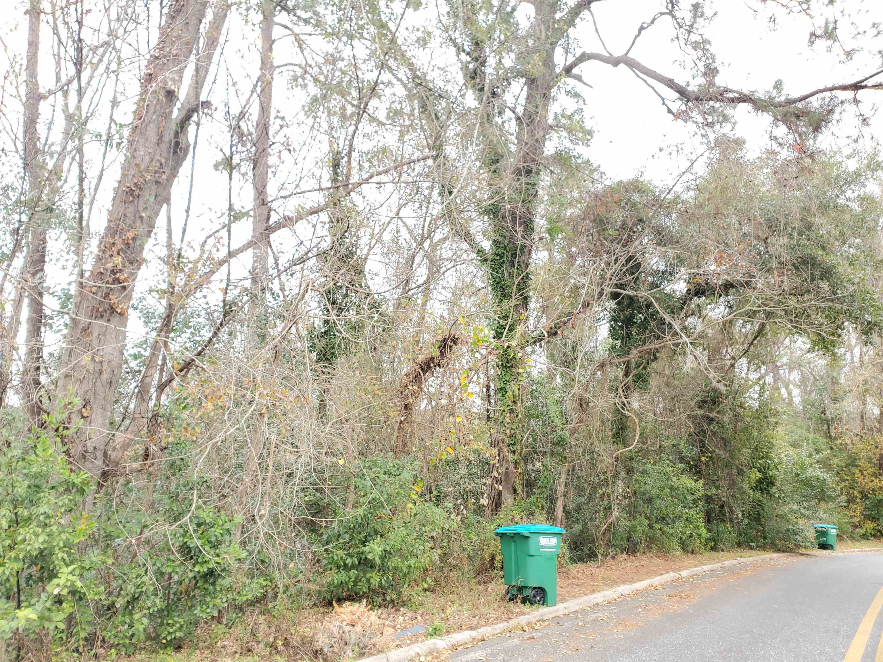 Quincy, Gadsden County, FL Undeveloped Land, Homesites for sale