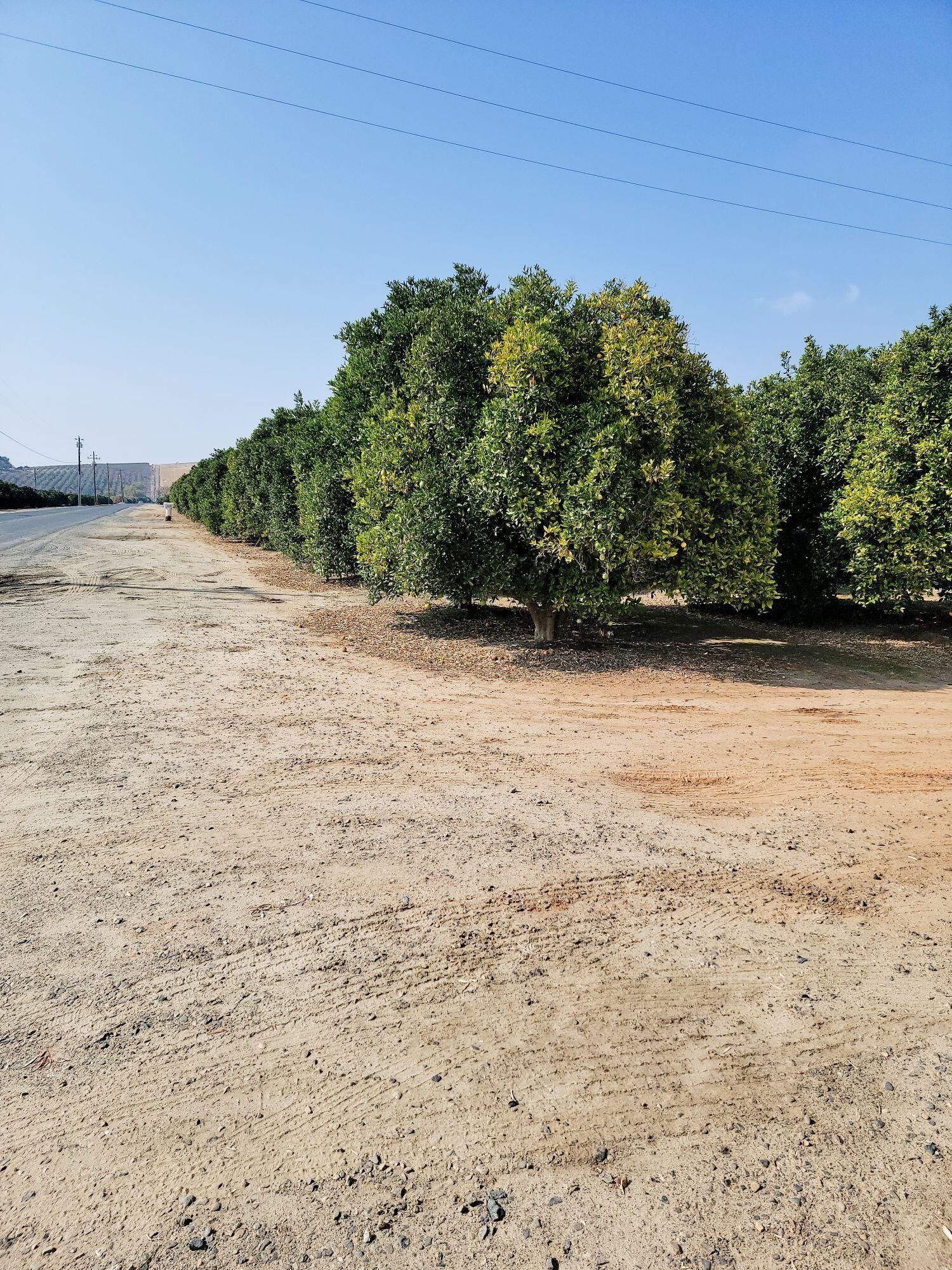 Woodlake, Tulare County, CA Farms and Ranches for sale Property ID