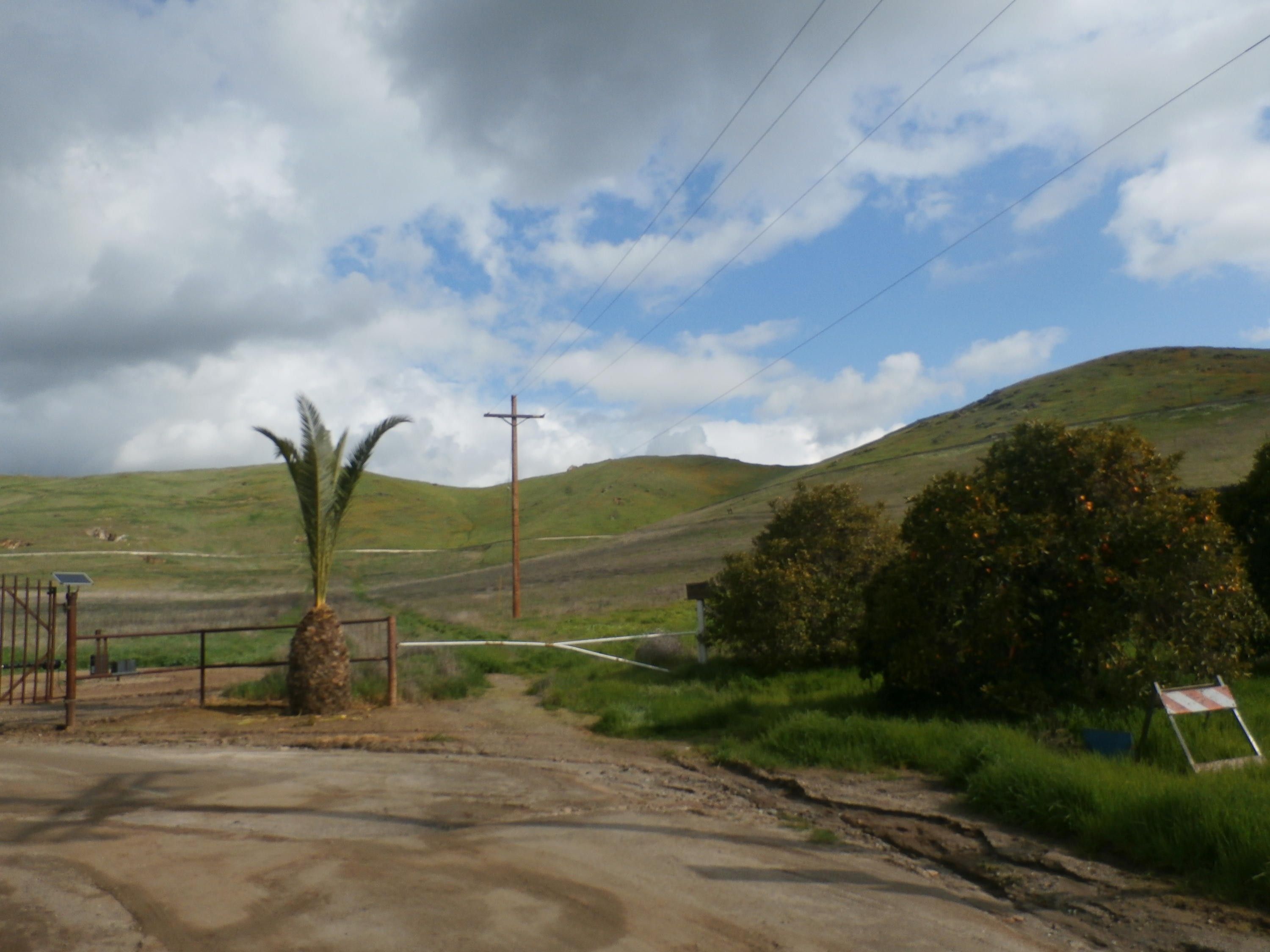 Lindsay, Tulare County, CA Farms and Ranches for sale Property ID