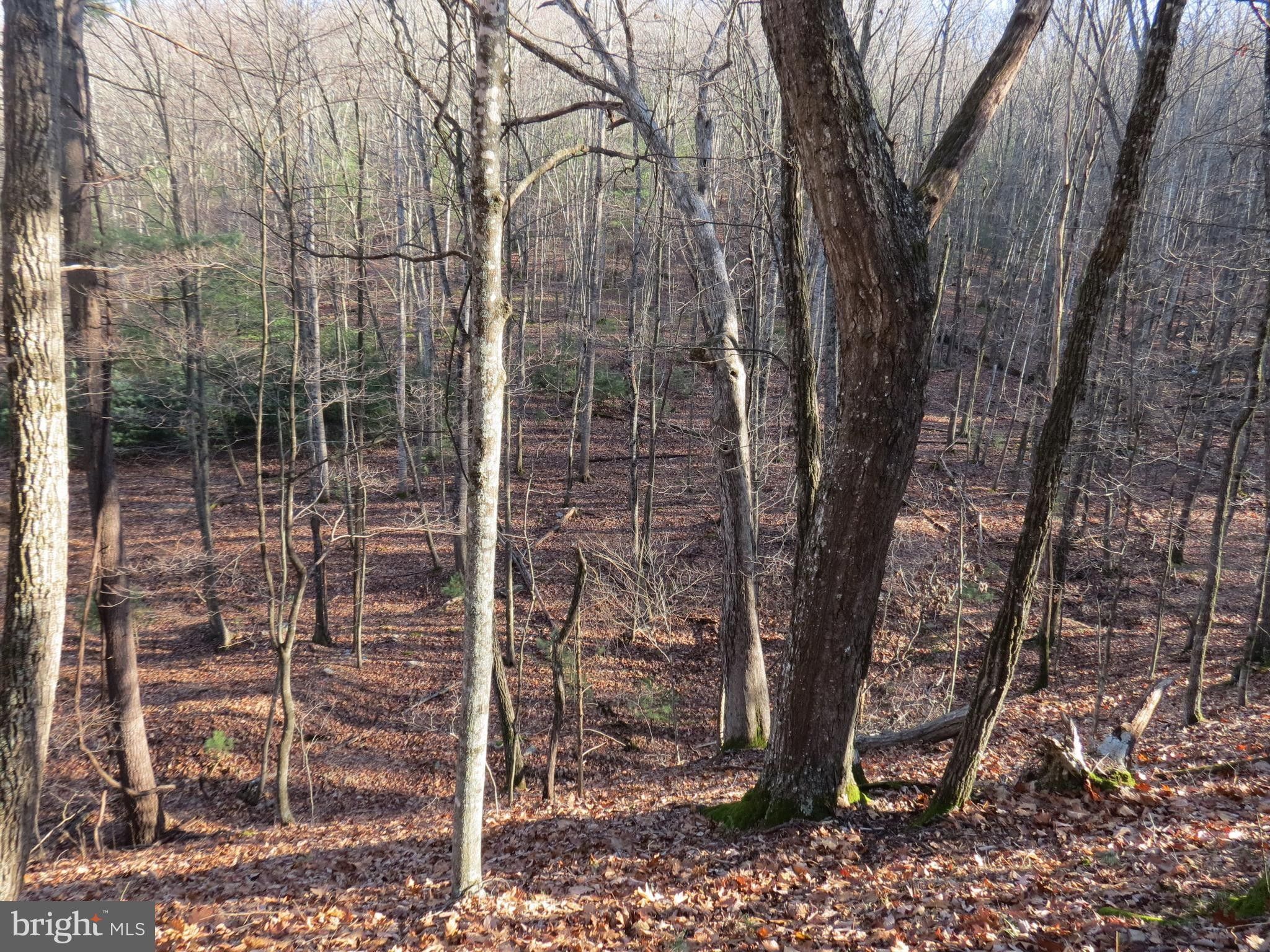 Mathias, Hardy County, WV Undeveloped Land, Homesites for sale Property