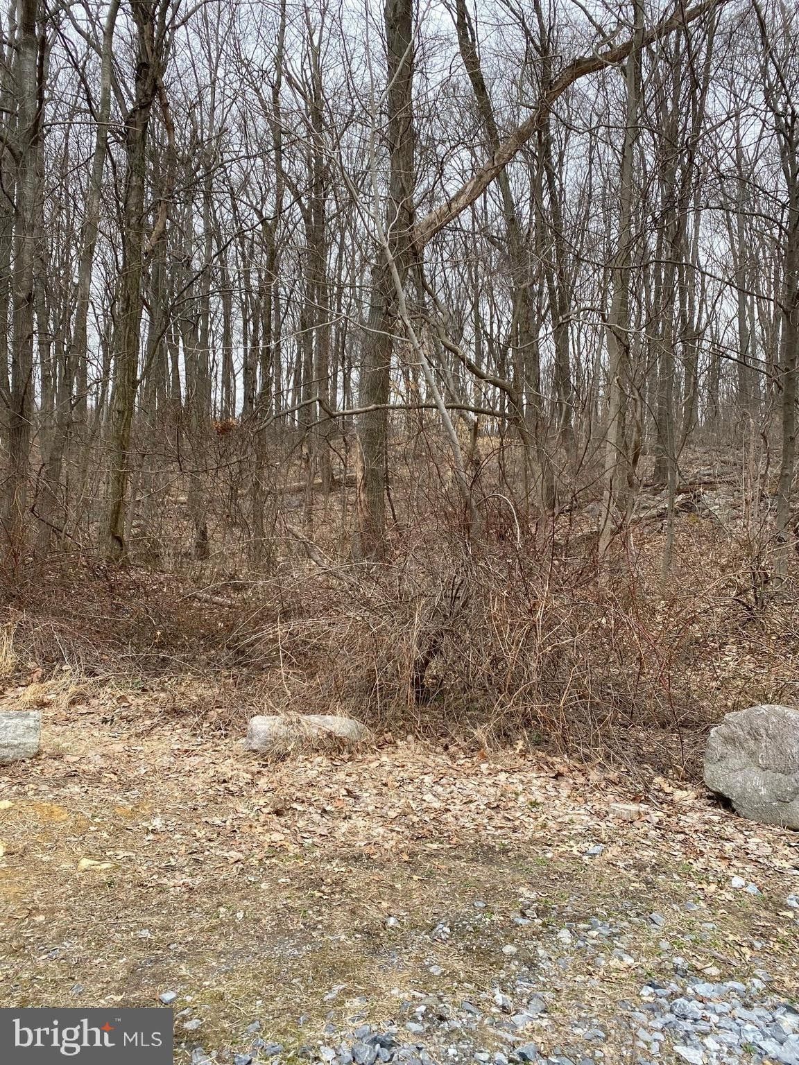 Newmanstown, Lebanon County, PA Undeveloped Land for sale Property ID