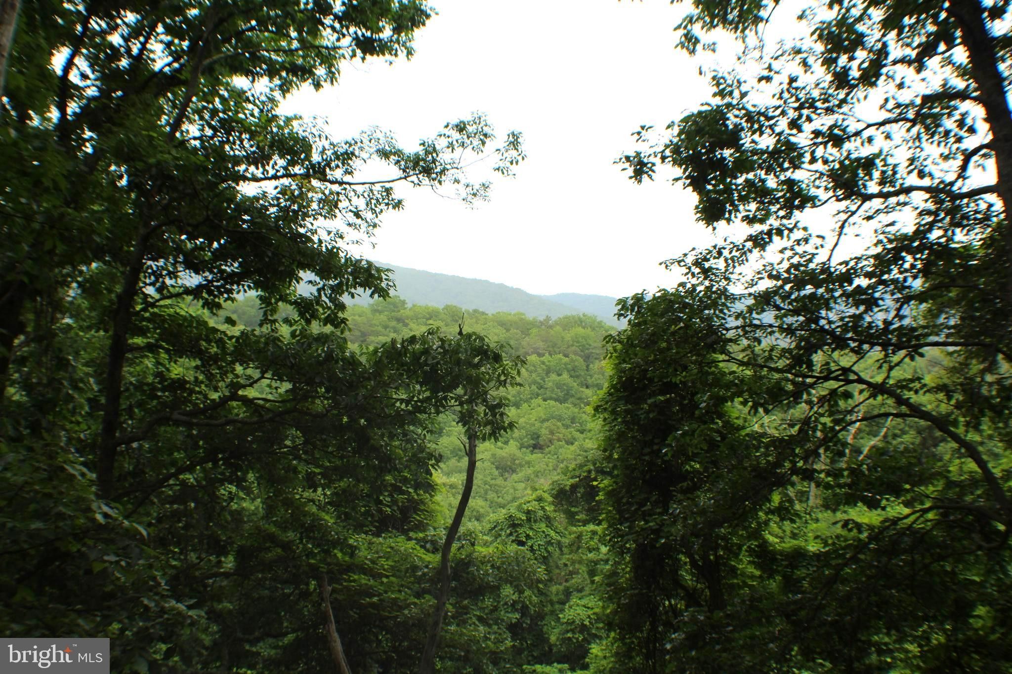 Moorefield, Hardy County, WV Undeveloped Land for sale Property ID