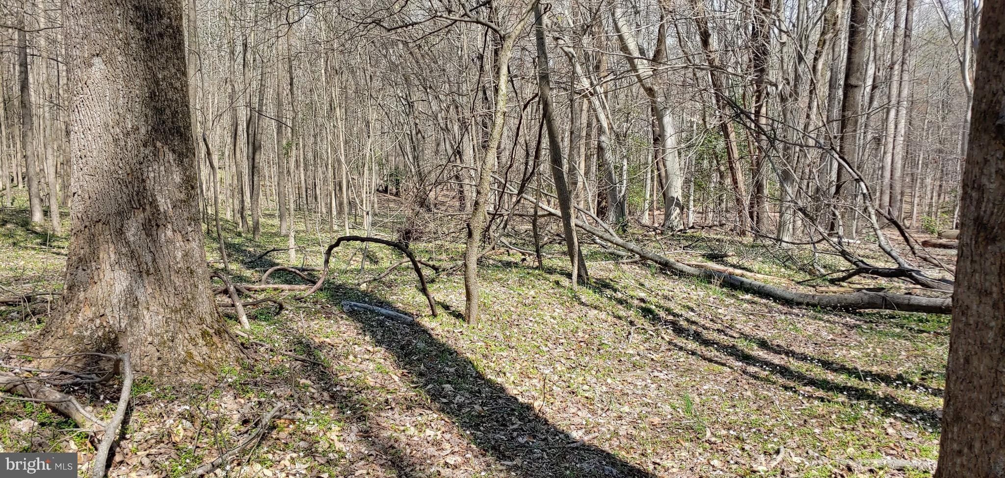 Bryans Road, Charles County, MD Undeveloped Land for sale Property ID