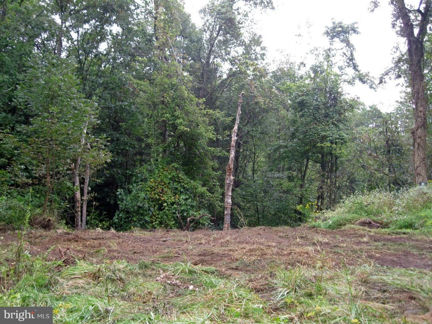 Friendsville, Garrett County, MD Undeveloped Land for sale Property ID 327633039 LandWatch
