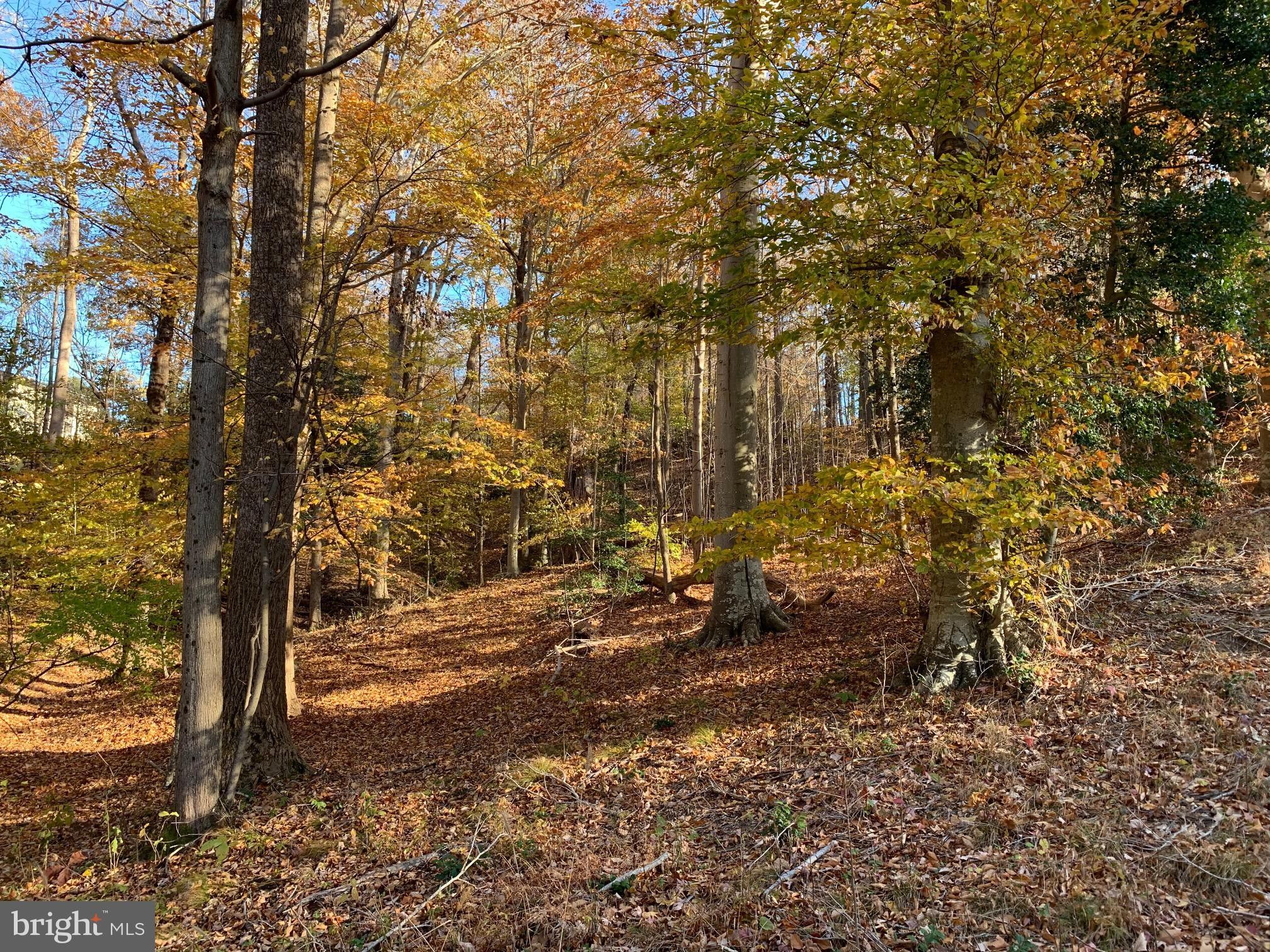 Montross, Westmoreland County, VA Undeveloped Land, Homesites for sale